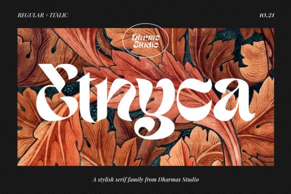 Etnyca: A Bold, Playful Display Font That Lifts Your Brand